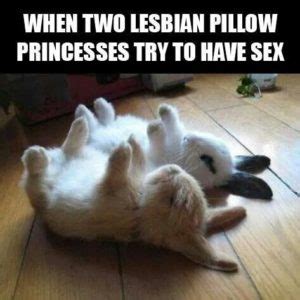 pillow princess positions|More.